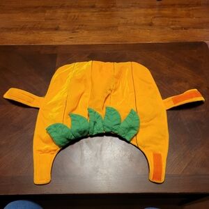 Orange and Green Dog Costume